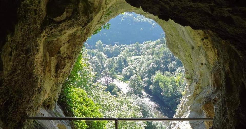 L'Echappee Au Jardin, Yourte Bucolique Godinne Ngoại thất bức ảnh